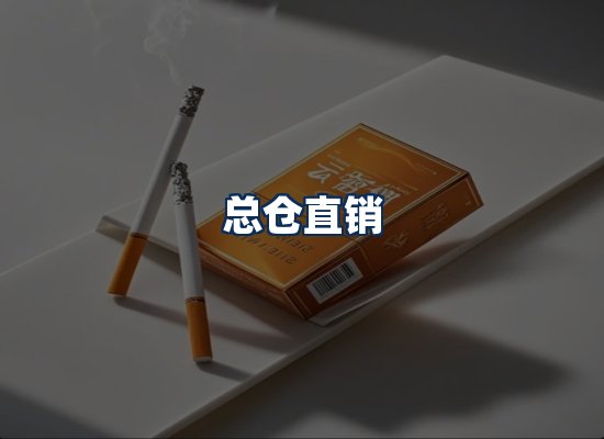 专业团队办公环境